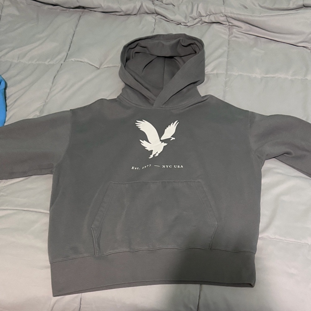 American Eagle Mens Large Hoodie